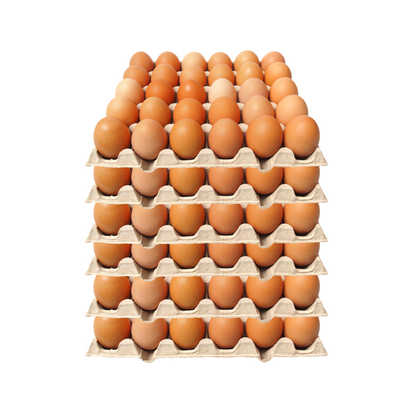 Huevos de Corral 180 Unid - Peso M (11.4kg-12.6kg)
