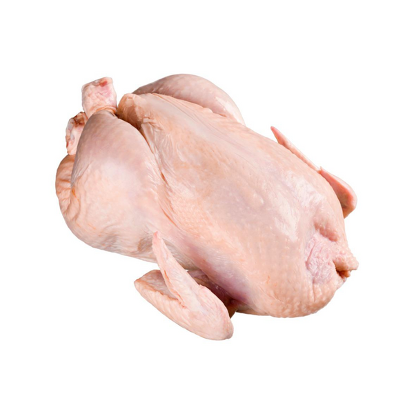 Pavo Blanco de Corral