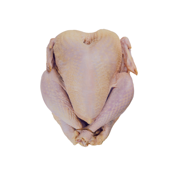 Pavo Negro de Corral (7kg - 8kg)