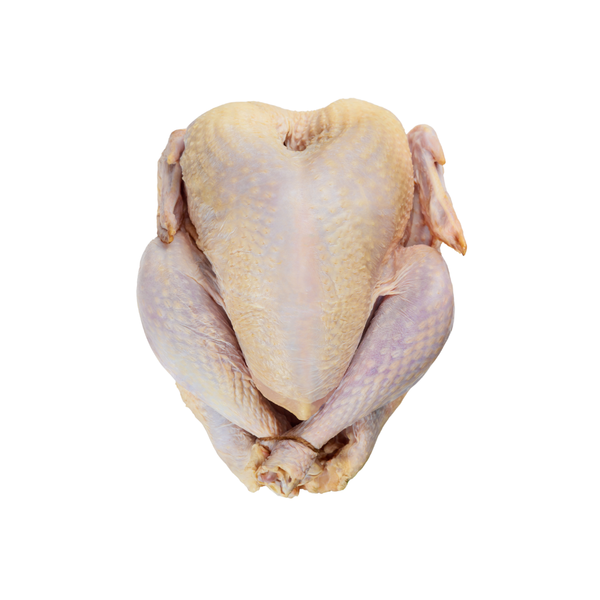 Pavo Blanco de Corral (6kg - 7kg)